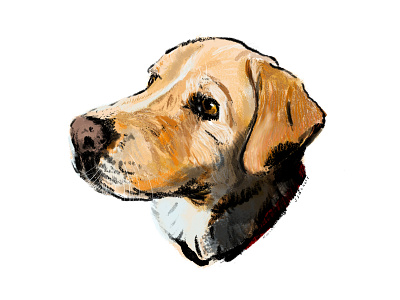 Boo digital painting pet portrait