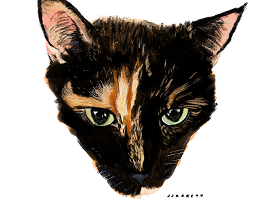 black and orange cat portrait design digital illustration