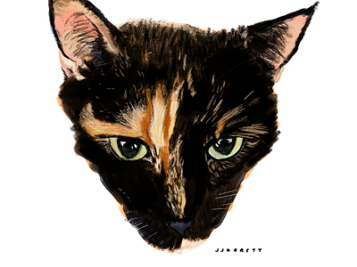 black and orange cat portrait