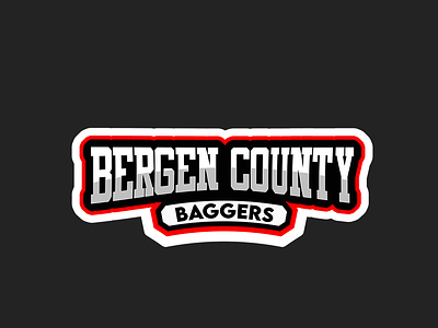 Bergen county 2dillustration branding character characterdesign design illustration logo ui ux vector