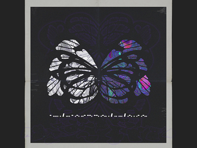 butterfly wings album cover butterfly digital graphicdesign illustration poster wings