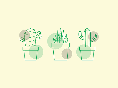 Cacti illustration cacti illustration minimalistic
