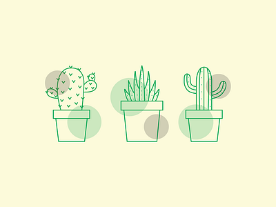 Cacti illustration