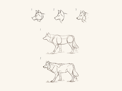 Wolf Study