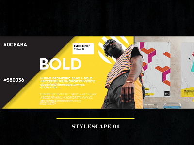 SOL_Stylescape_01 adobe illustrator adobe photoshop brand brand identity branding design graphic design johannesburg south africa the coup