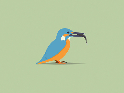 Kingfisher beak bird fish illustration kingfisher