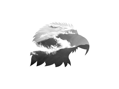 Eagle Thing eagle illustration landscape photography