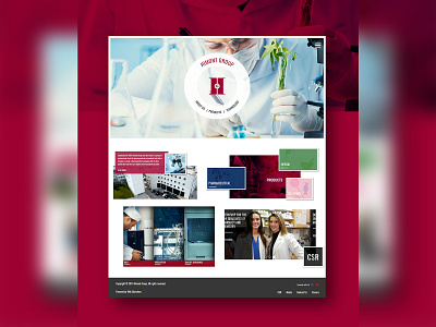 UI/UX Web Design | Himont Group branding design ui ux webdesign