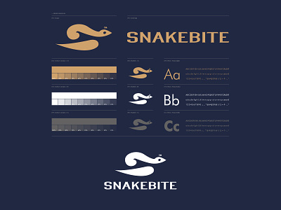 DESIGN MANUAL // beltramo bltr design manual icon illustration logo s snake stunt symbol