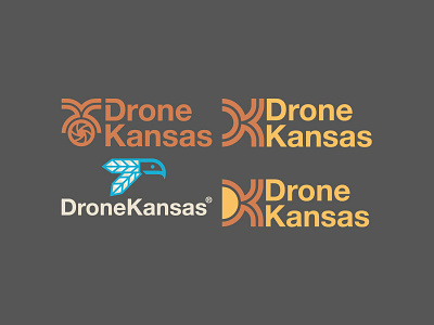 LOGOS // WIP // beltramo bltr drone kansas logo