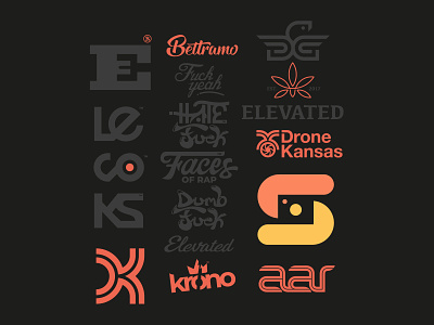 TYPE // LOGO // SHIZZLE // beltramo bltr icon logo typography