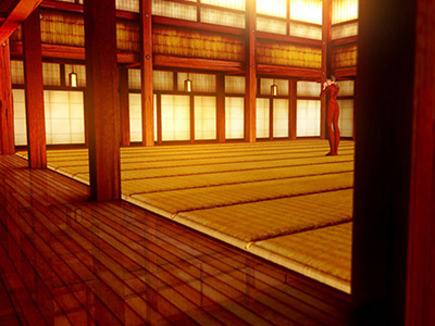 Dojo, back 3d dojo toon shading