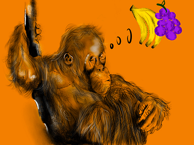 ORANGUTAN ILLUSTTRATION fruit illustration orange orangutan pro create