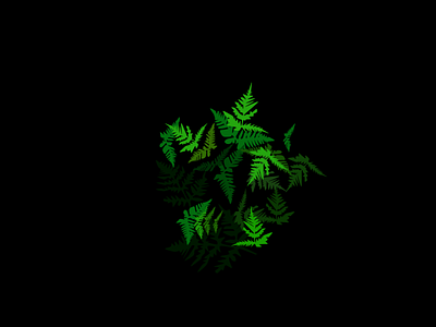 Jungle affinity designer affinitydesigner plant plant illustration vector