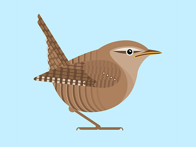 Wren