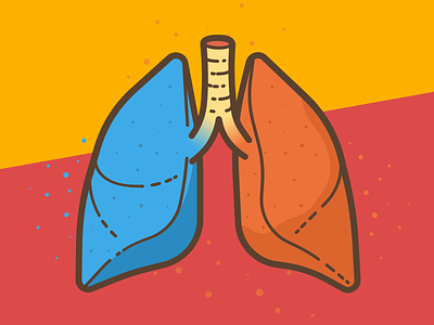 Lungs anatomy colors human anatomy icon illustration lungs vector