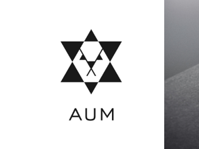 Lion brand branding geometric identity lion logo minimalist simple triangle