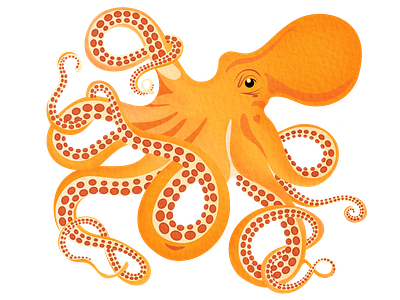 Orange Octopus adobe ilustrator animals creature cute eight fun illustrator ocean octopus orange sea