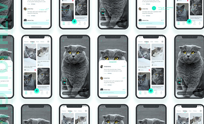 Blind date cat app design icon illustration ui ux
