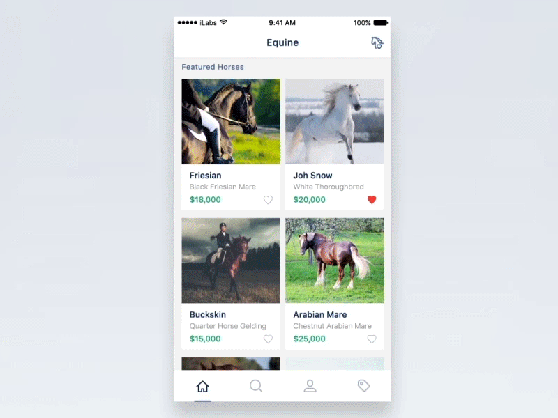 Horse MarketPlace Search Flow interaction app market place horse walk loading icon filter search clean