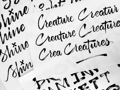 Brush calligraphy brush lettering calligraphy ink lettering typography