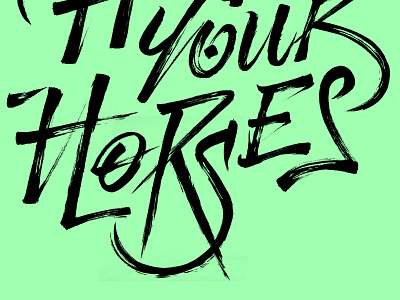 HOLD YOUR HORSES art brush brush lettering calligraphy design graphicdesign handmade illustration ink lettering