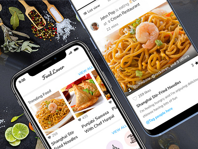 Food Lover App feed food and drink food app ios app mobile app design recipe app social app uidesign
