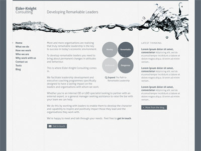 Elder-Knight Consulting blue column diagram grey minimal monochrome splash water web