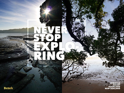 Never Stop Exploring auckland beach coast explore new zealand outdoor photo photography run tree type