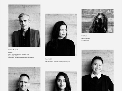 DMA people page final architect architecture auckland grid image minimal monochrome new zealand people profile responsive web