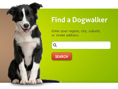 Find a Dogwalker box brown button color dog form green red search web