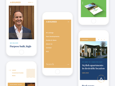 Assured mobile website blue branding gold grid investment layout mobile new zealand property responsive typography web