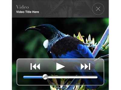 Cook Islands iPhone media video app dictionary icon ios iphone media mobile nav photo results search video