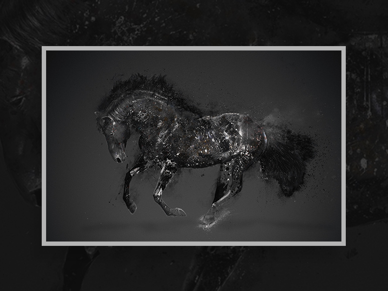 Horse 1 by Adrien DONOT on Dribbble