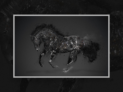 Horse 1 black horse poster print texture