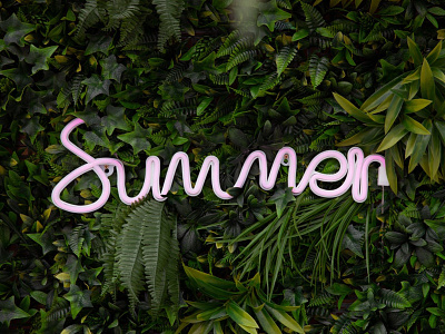 Summer. design illustration typography