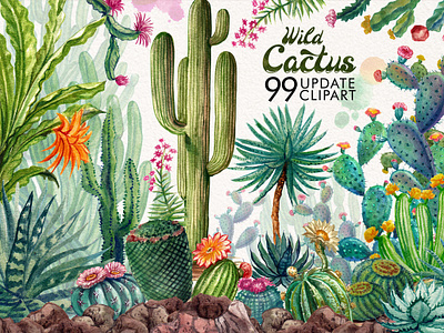 WILD CACTUS background cactus cards design frame graphic illustraion invitations pattern plants succulent watercolor wild