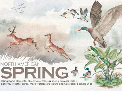 Watercolor North American Spring american animals background canada cards deers design flower frame frames illustraion invitations leaves logo north america northern pattern spring watercolor