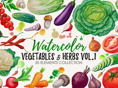 Watercolor Vegetables, Herbs
