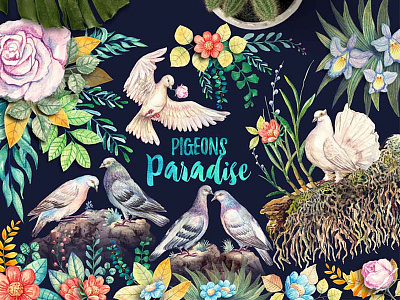 Pigeons Paradise birds cards design flower frame graphic illustraion invitations leaves logo pattern pigeons watercolor