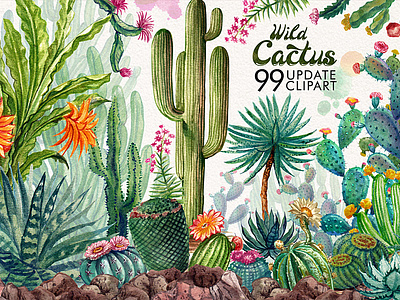 Watercolor Cactuses