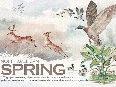 Watercolor North American Spring