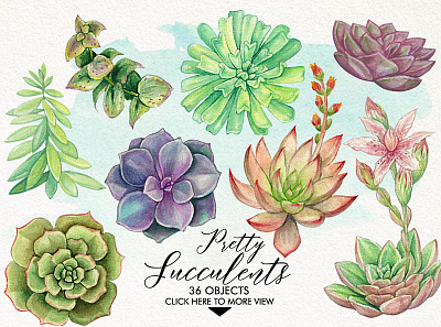 Watercolor Pretty Succulents background cactus cards design flower frame illustraion invitations leaves pattern succulents watercolor