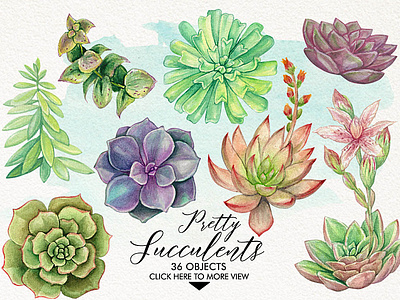 Watercolor Pretty Succulents