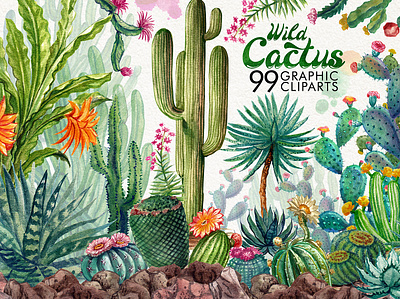 watercolor cactus background cactus cards design flower frames invitations logo pattern succulents watercolor