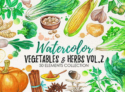 watercolor vegetables 2 cards flower frames fruits invitations leaves pattern vegetables watercolor