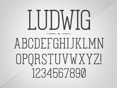 Ludwig Type design font type typography