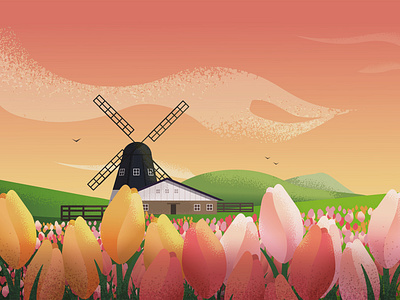 Tulip field illustration