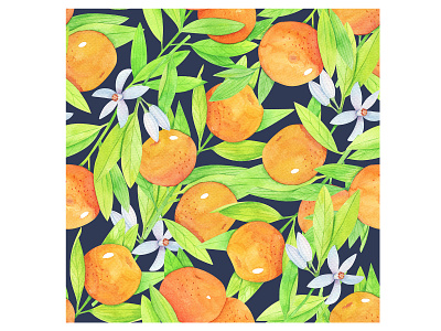 Pattern with mandarines, botanical illustration