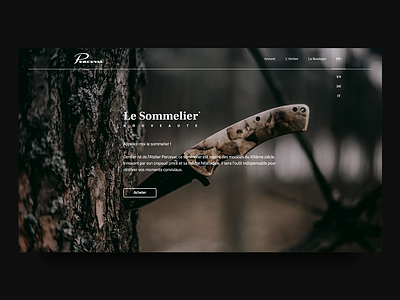 Perceval Landing Page